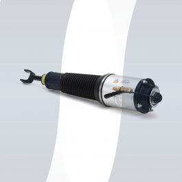 Audi A8 D3 4E strut front right sport air suspension 4E0616040