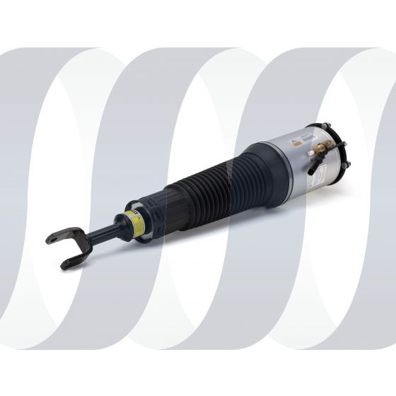 Audi A8 D3 4E strut front right sport air suspension 4E0616040