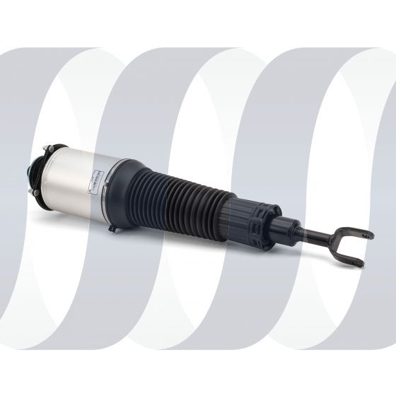 Bentley Flying Spur air suspension strut front left new 3W0616039