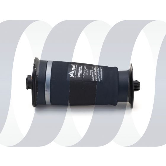 BMW 5-series F11 GT F07 Arnott air spring rear 37106781844 | 37106784378