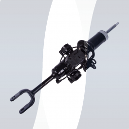 BMW 7-Series F01 F02 shock absorber front right 37116796932