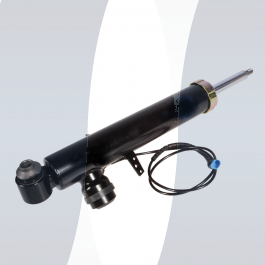 BMW X6 F16 shock absorber rear right 37106875088