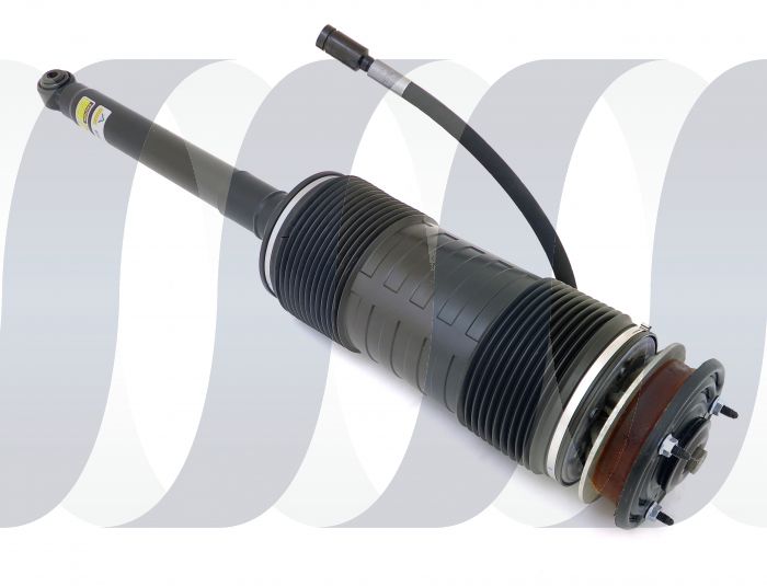 Mercedes S-Class W221 Overhauled ABC Air Strut Arnott Rear Left w/o AMG A2213208913